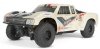 Model RC Axial YETI JR Trophy Truck 4WD 1:18 RTR